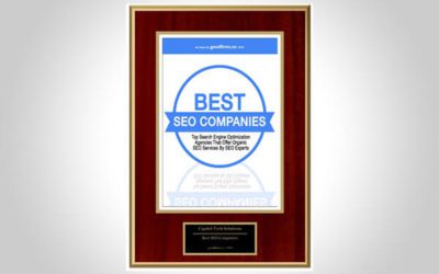 Our SEO Team is Constantly Expanding Upon Their Expertise