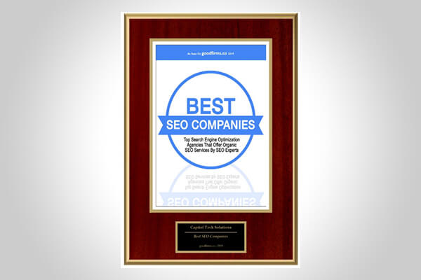 Our SEO Team is Constantly Expanding Upon Their Expertise