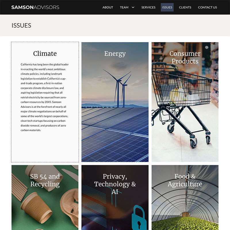 Samson Advisors Website Design Screenshot 3