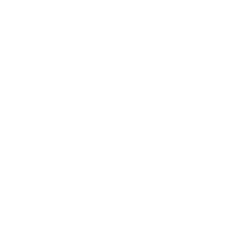 Integrated Schema to Support Snippets icon